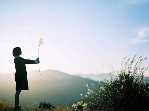 教育出一个优秀的孩子,就是投资自己后半生的幸福!