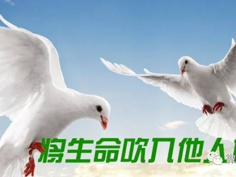 用这62句话激励孩子