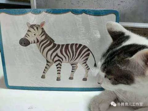 爸爸妈妈选择适合0-1岁宝宝绘本的方向