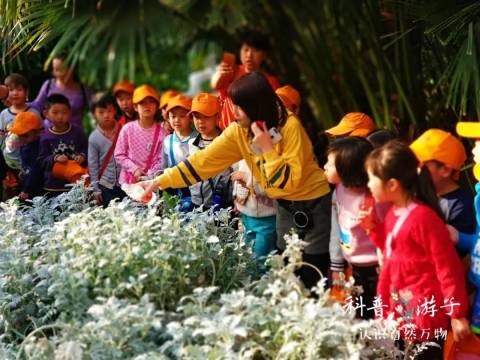 【周日滨海出发】带孩子认识大自然奇珍异景,热带植物探索营!