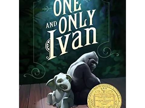 和孩子们一起精读The one and only Ivan