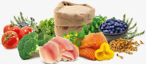 避免孩子挑食,家长怎么做?