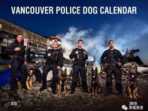 温哥华警察局2019年的警犬日历