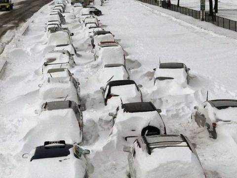 温哥华下了场15年来罕见的暴雪,结果...