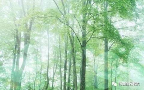【大圣教育】教育孩子,请把爱和规则一并给他