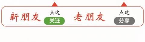 郭碧婷晒小巷里与宠物狗互动照,爸爸吓得以为家里又要增添小动物