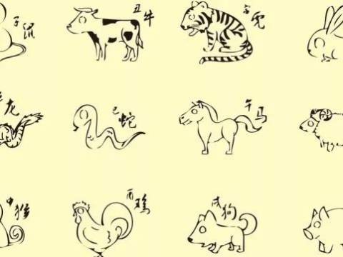 属什么的孩子会富贵!