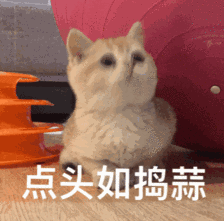 孩子安全无小事,家中有哪些容易存在的“安全隐患”?┃家长必读