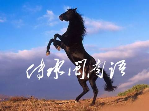 泉州话诵读本土作家芷菡的作品:爸爸