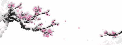 【清明辑】玉兰:爸爸走了