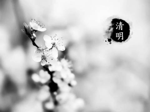 等你长大,我的爸爸妈妈就老了