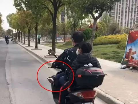 爸爸骑电车翘二郎腿,坐后座的儿子原以为爸爸是个王者,直到……
