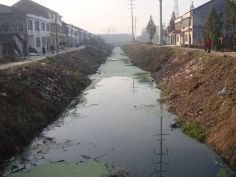 潇湘家书|爸爸,灌区正在焕发新生机