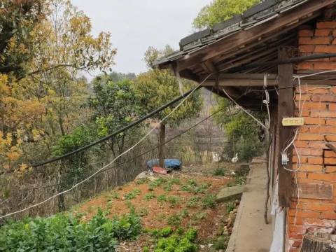 爸爸的土地,那些湖北乡村往事