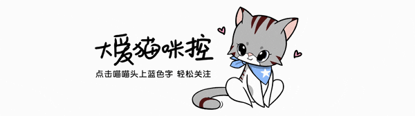 爸爸喝醉酒,把头伸进猫窝里睡觉,猫直接被吓跑出来了,哈哈!