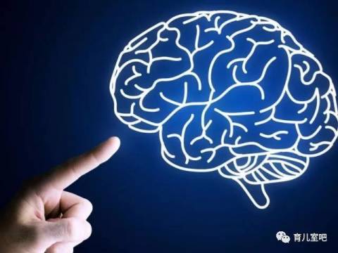 孩子手部有这4个动作,证明大脑发育好,多半是个“机灵鬼”
