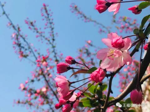 王福强:爸爸妈妈,您能给孩子留下哪些“好”?