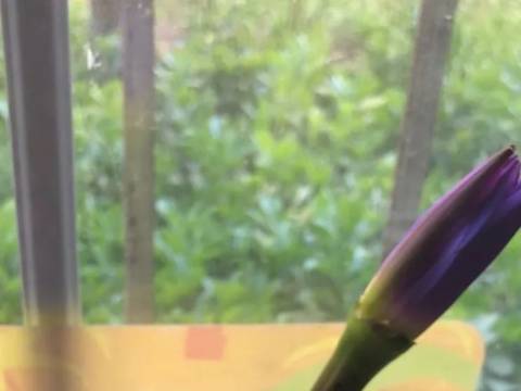 亲爱的爸爸妈妈