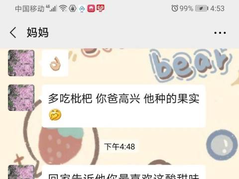 爸爸 你种的枇杷真好吃