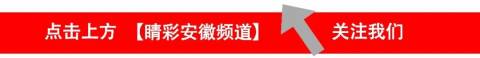什么样的孩子不容易沉迷手机游戏?父母能做到这两点很重要 | 两会伴读