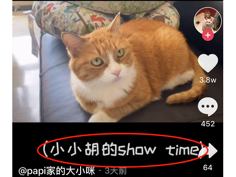 女明星生孩子=驴?