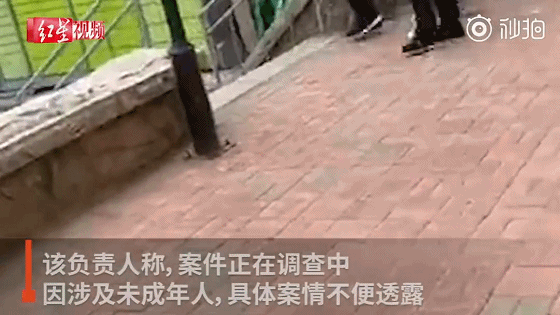 15岁女孩勒死母亲:我们是在培养孩子,还是在制造工具?