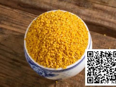 原谅爸爸没有当好你的妈