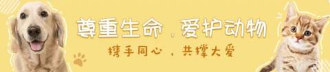 爸爸脑出血半年没意识,直到爱犬的一个吻,他竟奇迹般清醒了...