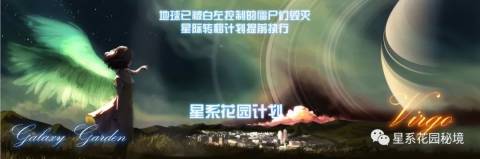 “爸爸被枪杀了…”小男孩用1%电手机拨通电话,他已在森林里躲避杀手超过30小时…