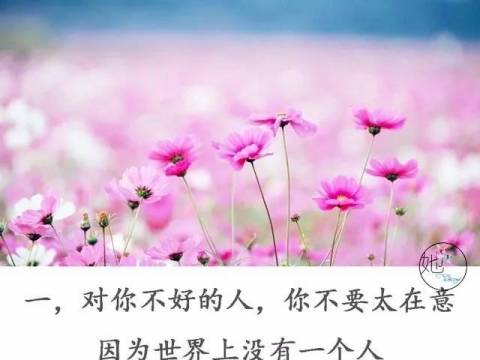 孩子,我不欠你的,人生的路要靠自己走