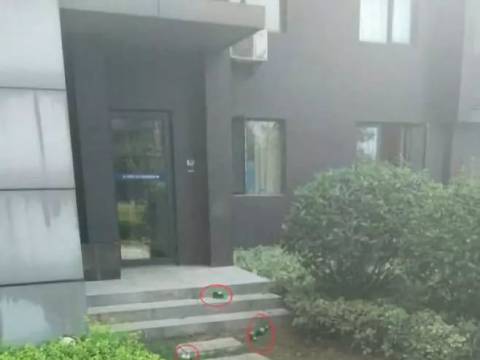 孩子“该打就要打”?李玫瑾关于惩罚的解释,是我听过的最好的答案!
