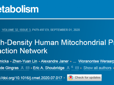 加拿大研究人员绘制出人类线粒体邻近相互作用的高密度网络