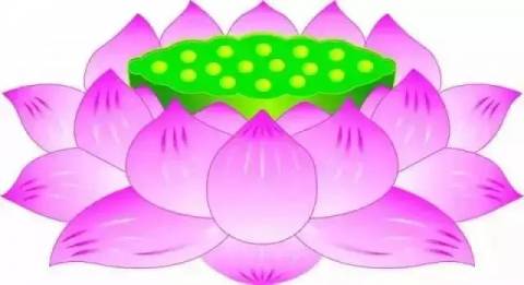 念佛故事|祈愿佛慈加佑,接引孩子往生净土!