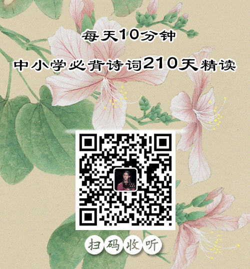 经典绘本 | 爸爸我要月亮