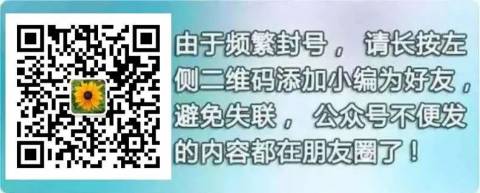 加拿大一对夫妻吵架,6岁女儿做了轰动全世界的事!