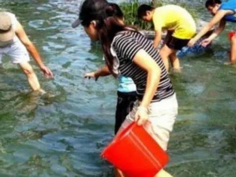 “爸爸没了”,亲子作业完成了,幸福的一家四口也“毁”了