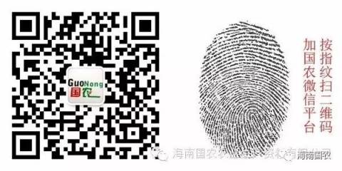 爸爸的快乐你想象不到,原来他们是这样带娃的