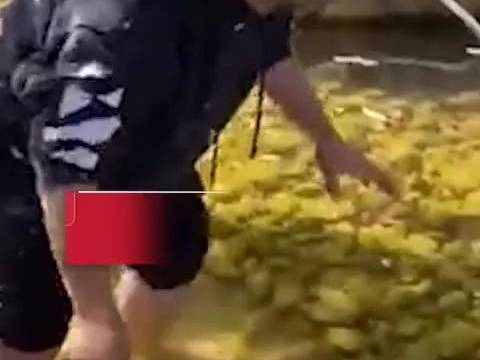 爸爸赤脚下水捞玻璃渣,原因让网友狂赞→