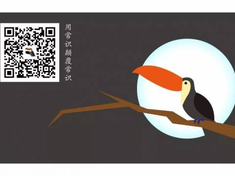 孩子没有假期