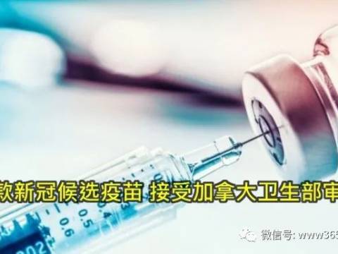 四款新冠候选疫苗 接受加拿大卫生部审核