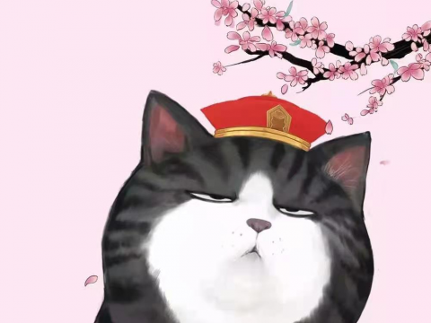 狐狸爸爸每日股票分享(1.14)