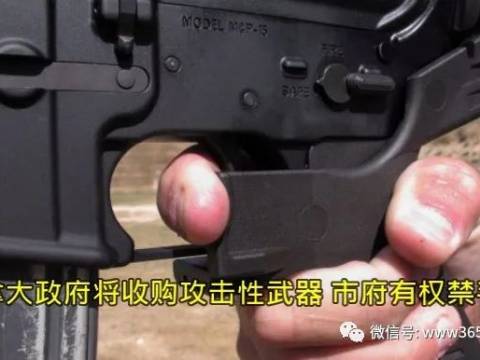 加拿大政府将收购攻击性武器 市府有权禁手枪