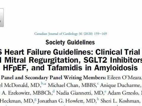 2021版加拿大心衰指南评析:SGLT-2抑制剂促成心衰药物治疗新格局