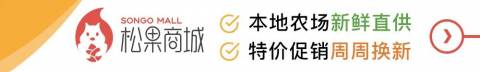 加拿大新移民都收到税务局这封信,怎么应对?-报税季干货全攻略