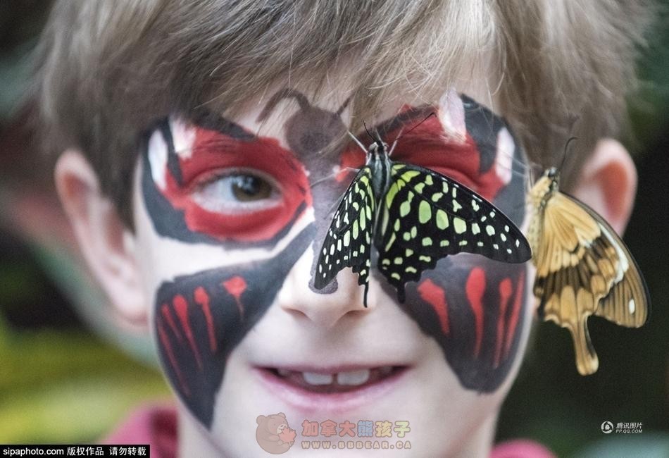 英国皇家园艺学会办蝴蝶展 儿童与蝴蝶“共舞”