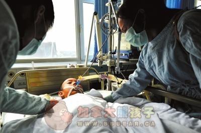 吉林8岁男童脑逝世亡 募捐角膜双肾等器官救5人