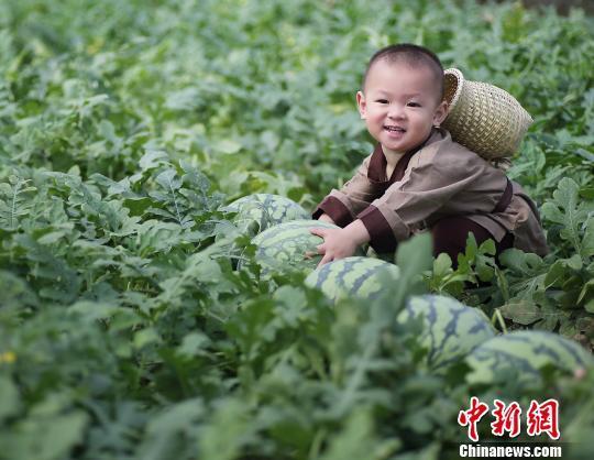 这个“瓜娃子”要火!2岁萌娃吆喝自家西瓜