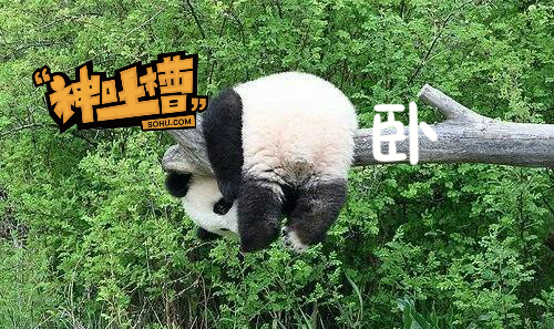 一不警惕就跟妈妈平辈了 真是令人梗塞的独霸