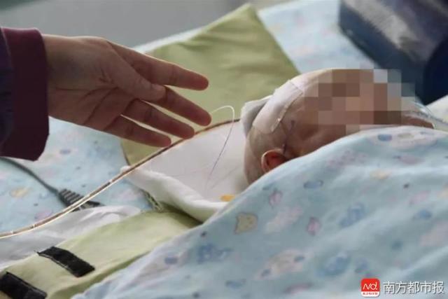 苹果砸中女婴闯祸者为11岁女童 事发时想喂狗