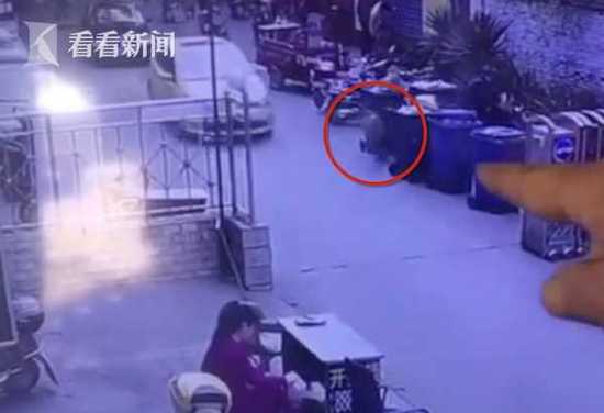 小区门口小童倏忽窜出 惨遭轿车撞飞后碾压身亡